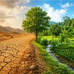 Land Degradation Management by deshsansaar