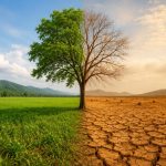 Desertification and Land Degradation by bhavyagyan